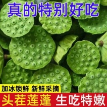 新鲜莲蓬，保险箱一件代发，🉑️多件批发，只做精品货。