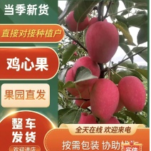 辽宁省西丰县双榆鸡心小苹果基地，大量上市