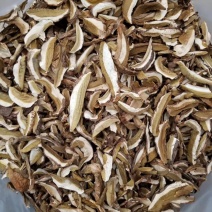 野生美味牛肝菌白牛肝干品月亮帽食用菌干品产地批发