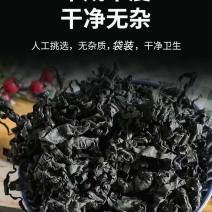 《精选》裙带菜海白菜螺旋藻足干一斤泡发15斤