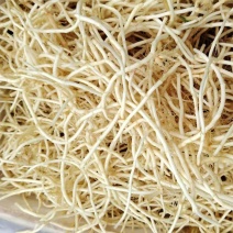 精品鱼腥草