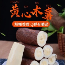 正宗“华南9号”黄金木薯，大基地种植，精品质量！