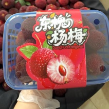 台州东槐杨梅/接团购批发/价格优惠/产地直发/货源充足