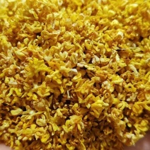 广西精品新鲜干桂花桂花干农副干货大量现货