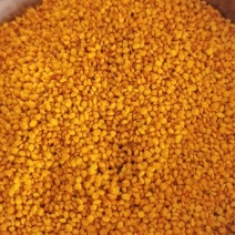 荷花粉天然营养纯正蜂花粉大颗粒精品纯粉