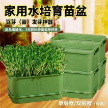 新款豆芽机家用发豆芽神器食品级发绿豆芽懒人豆芽菜发芽盆种