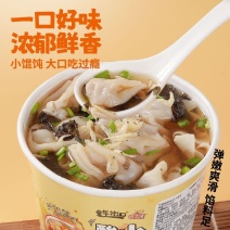 酸汤小馄饨速食冲泡酸香醇香浓香懒人营养餐速食整箱