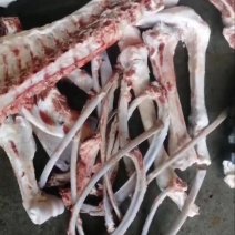 山东新鲜驴骨头架子骨脊梁骨各种规格批发零售都可以