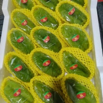 青杨桃