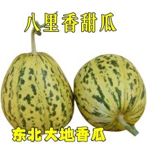 东北八里香甜瓜，花蕾甜瓜大量现货欢迎骚扰，线上线下均可