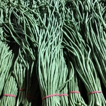 新长豆角货量充足规格全产地直发诚信经营量大价优