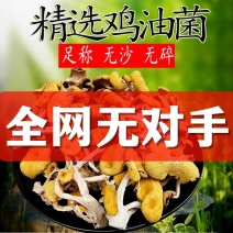 福建鸡油菌干货批发榆黄菇干货批发，一键代发！干鸡油菌