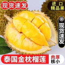 泰国金枕头榴莲，皮薄肉厚，质量稳定，价格优势，欢迎合作