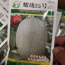 耀珑25号抗病耐裂大果型口感好易座果耐运8斤左右