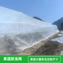 防虫网果蔬瓜菜苗木种植防虫网果园防虫大棚防虫养殖场防虫网