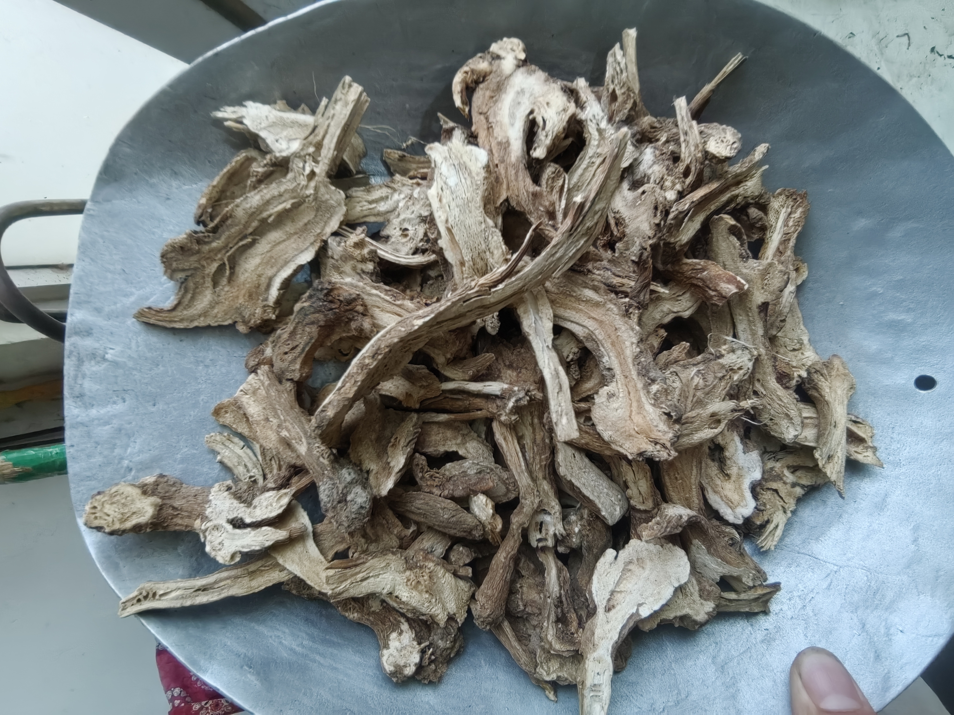 生白术药材展示