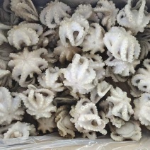 翻花小章鱼