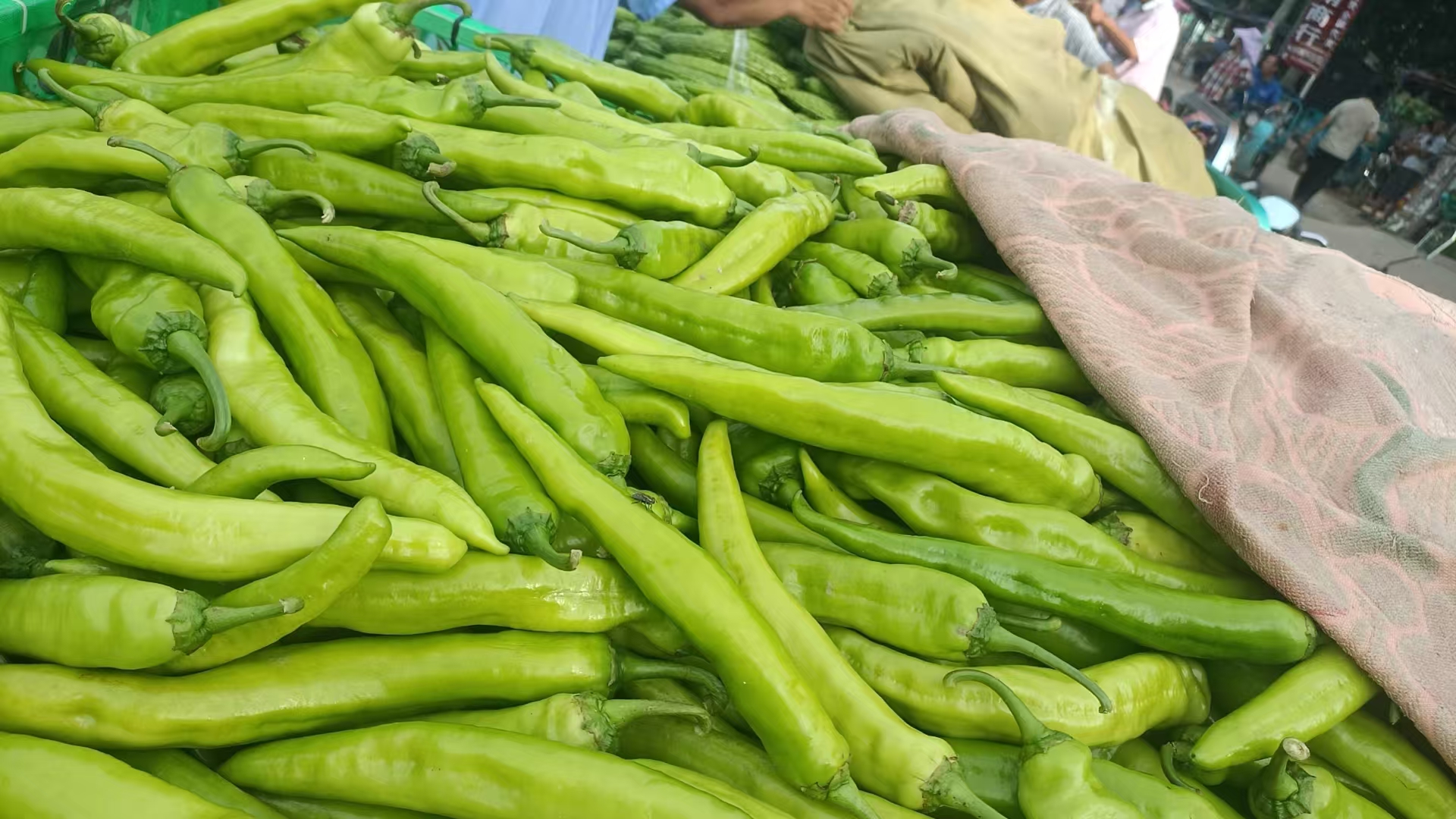 市场摊位上的港椒展示