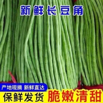 陕西长豆角豇豆大量上市，货架期三个月，欢迎全国各地客商