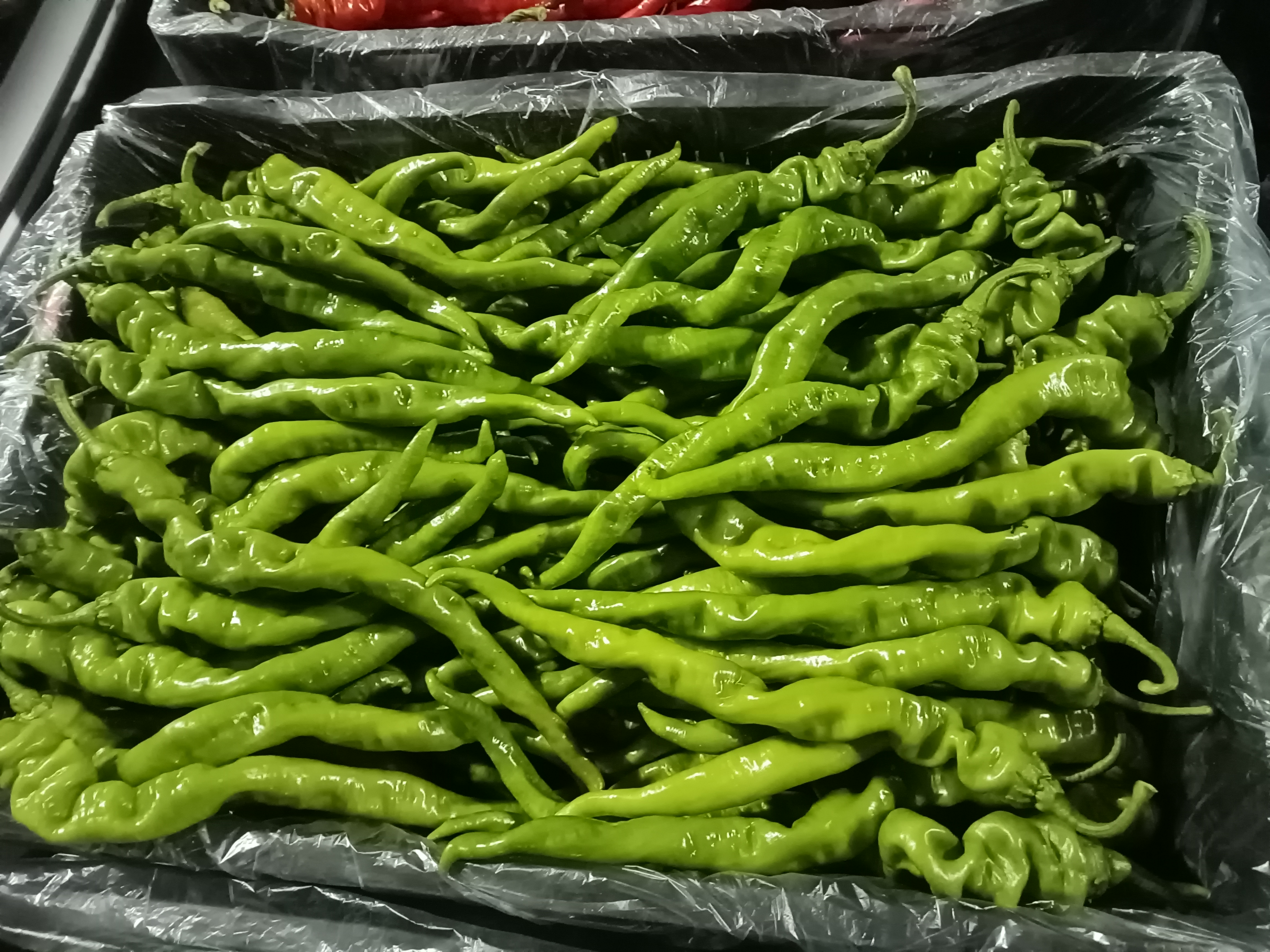 腌制螺丝椒装瓶过程
