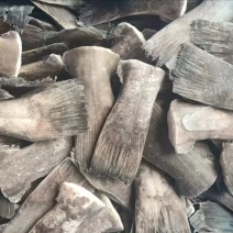 鲽鱼尾