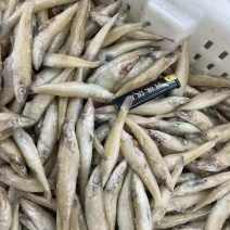 厂家直销，高品质沙丁鱼