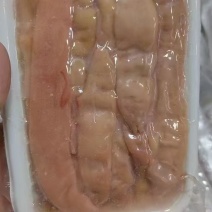 海肠
