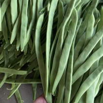 扁豆角#扁豆角、条型好，产地直供货源充足