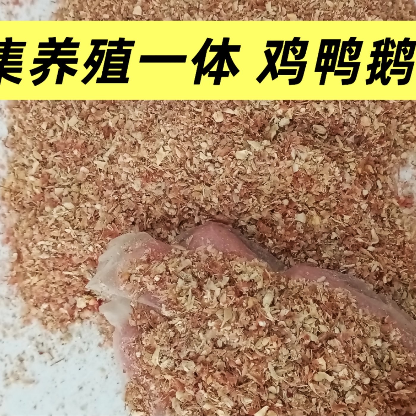 [玉米毛糠批发]河北邯郸大名县玉米饲料 370.00元/吨玉米毛 _ 一亩田