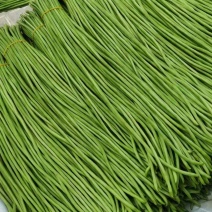 河北精品长豆角