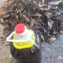 小村土榨菜籽油