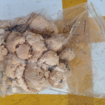鱼籽熟鱼籽微山湖鱼籽2斤一袋