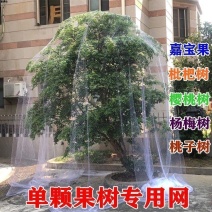 新款果树防鸟罩嘉宝果枇杷樱桃蓝莓果园尼龙防护网菜地