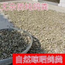广东鸽子粪清远鸽子粪养殖场供应对接种植户、果园