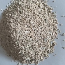 东北高钙水洗贝壳粉