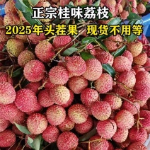 【桂味】荔枝新鲜荔枝**批发水果产地果园打包发货便宜一整箱