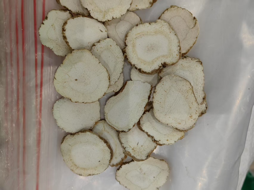 白芷药材特写