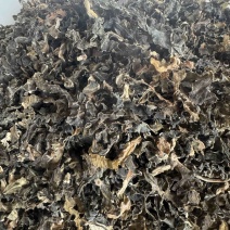 水洗无沙芥菜干没有任何一点杂质，香味十足，干度9成
