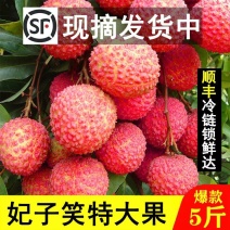 海南妃子笑茂名高州白糖罂荔枝5斤新鲜水果当季顺丰包邮桂味