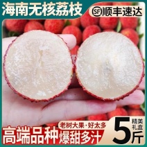 【顺丰礼盒现货】海南无核荔枝新鲜现摘老树果甜当季整箱包邮