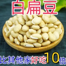 新货白扁豆今年农家食用白扁豆新豆煲粥白扁豆五谷杂粮