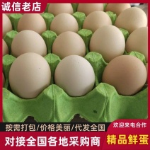 [牛]鲜鸡蛋精品鸡蛋货量充足优质蛋白无抗蛋富硒鸡蛋