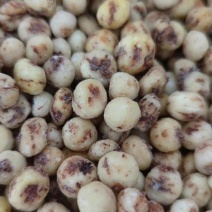 油莎豆