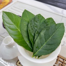 精品柠檬叶，产地直发价格实惠