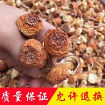 I姬松茸精品短腿巴西菇干货土特产蘑菇食用菌7天无理由退换