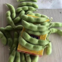 徐州翠绿饱毛豆大量上市，对接各大电商，市场，拨米厂