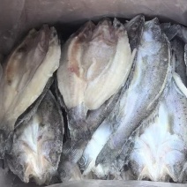 开背鲈鱼