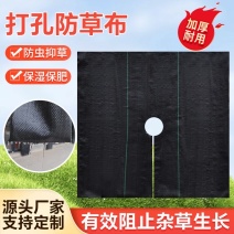防草布切片果园果树除草布打孔单片遮草盖草农用园艺地布
