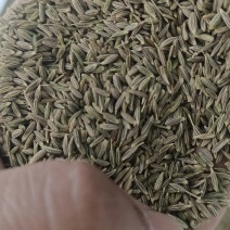 新疆孜然