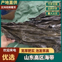 2026年山东晒干海带特干深海海带全国发货跑江湖农贸市场
